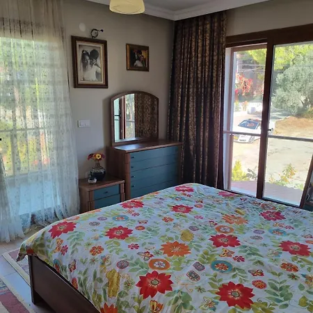 Villa Detached In Dalyan,