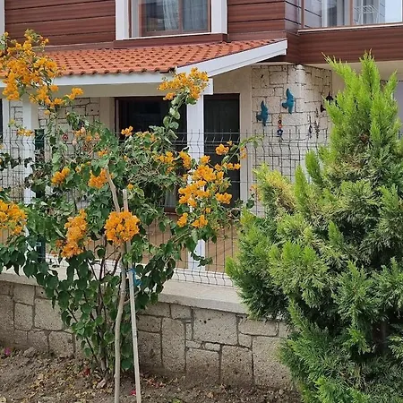 Detached In Dalyan, * Cesme