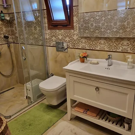 Detached In Dalyan, Villa